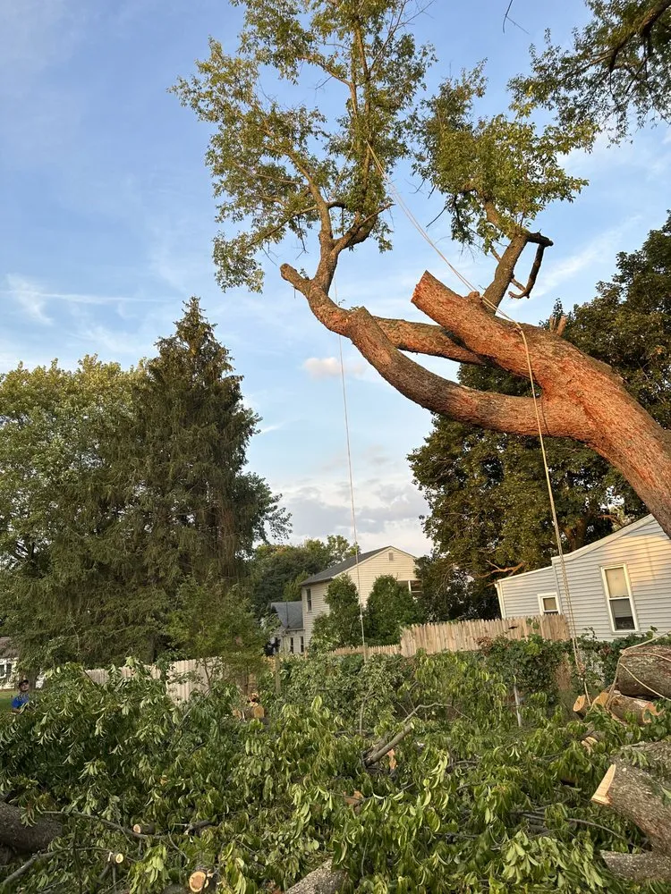 Affordable landscape design for outdoor upgrades across Wilmington, DE - Paradise Landscaping and Hardscaping