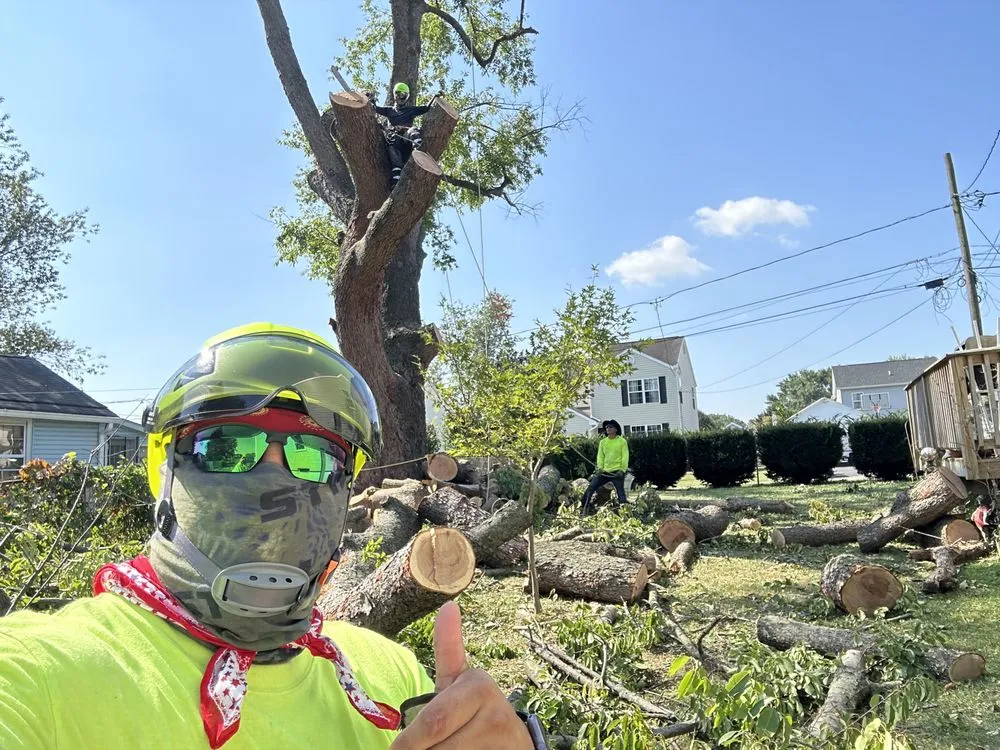 Expert lawn mowing service in Wilmington, DE by Paradise Landscaping and Hardscaping