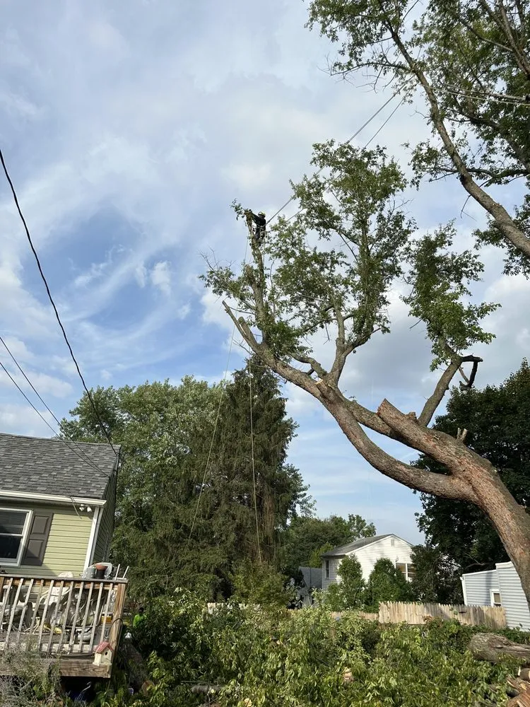 Affordable yard cleanup service in Wilmington, DE by Paradise Landscaping and Hardscaping