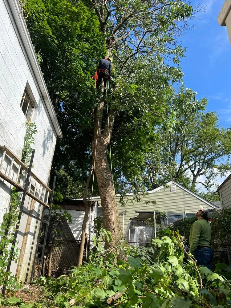 Reliable lawn mowing service for beautiful yards across Wilmington, DE - Paradise Landscaping and Hardscaping