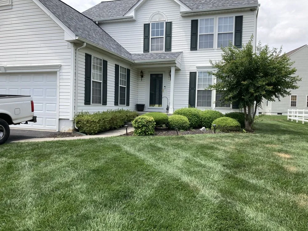 Professional landscape design for beautiful yards across Wilmington, DE - Paradise Landscaping and Hardscaping