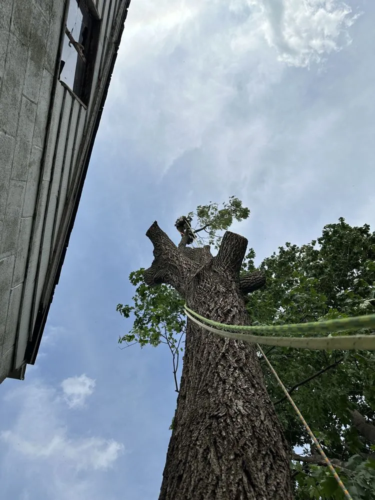 Reliable landscape design in Wilmington, DE - Paradise Landscaping and Hardscaping