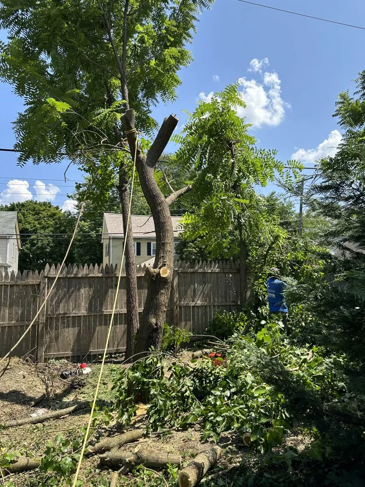 Trusted yard maintenance in Wilmington, DE by Paradise Landscaping and Hardscaping