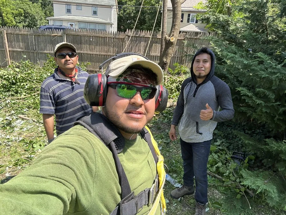 Trusted landscape installation for beautiful yards across Wilmington, DE - Paradise Landscaping and Hardscaping