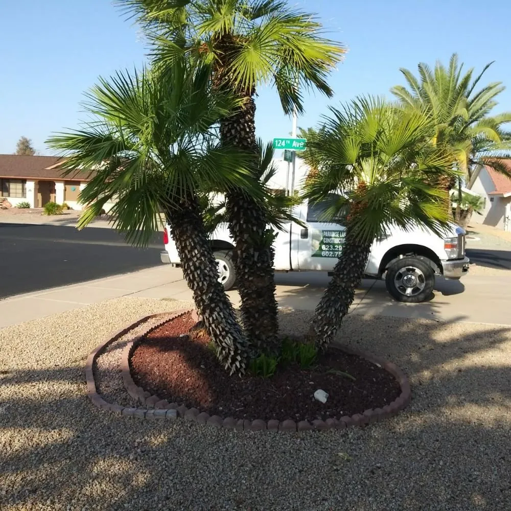 Affordable residential landscaping in Morristown, AZ by Paradise landscaping construction & design