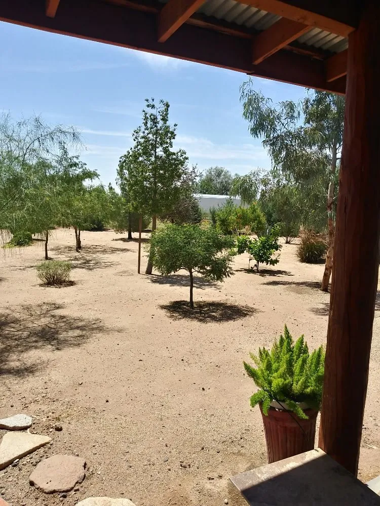 Affordable landscaping services near you in Morristown, AZ by Paradise landscaping construction & design