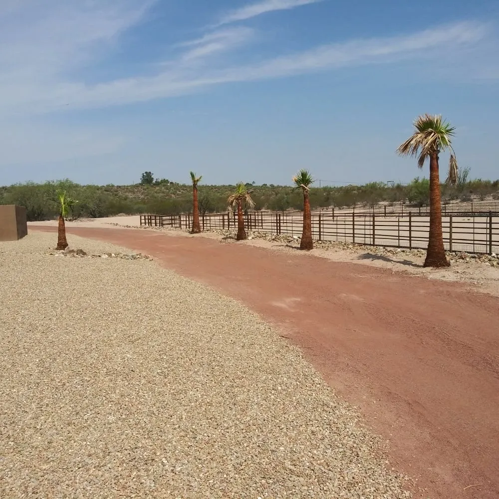 Affordable landscape design in Morristown, AZ - Paradise landscaping construction & design
