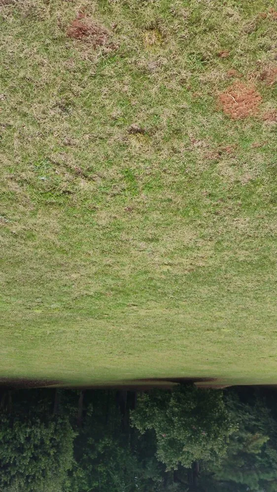 Professional landscaping services for beautiful yards across Covington, GA - Paradise Landscaping