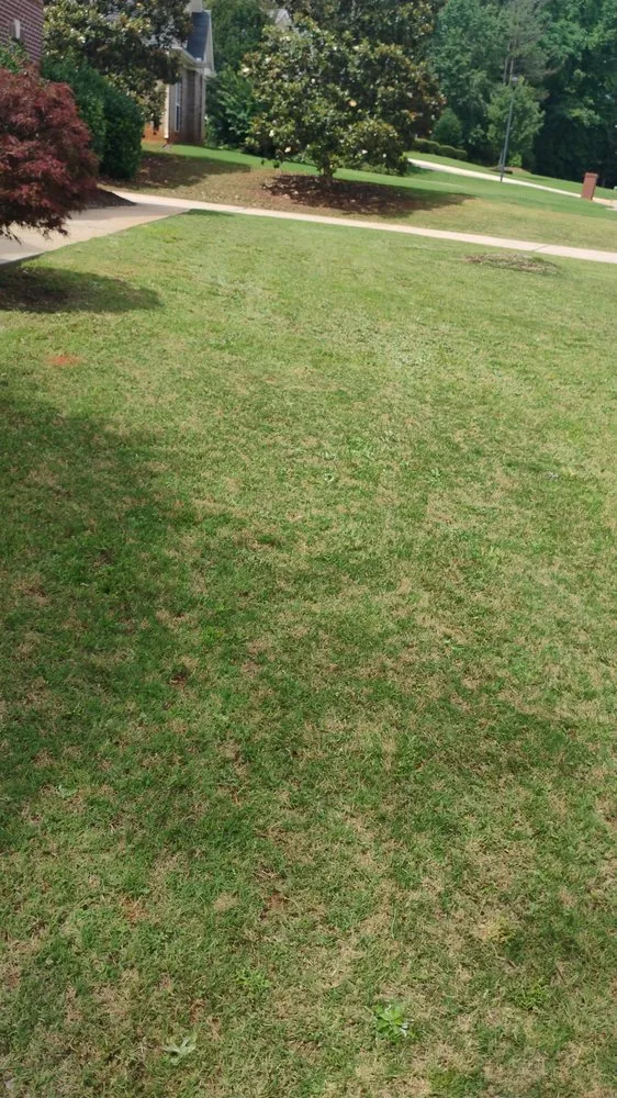 Expert residential landscaping for beautiful yards in Covington, GA by Paradise Landscaping