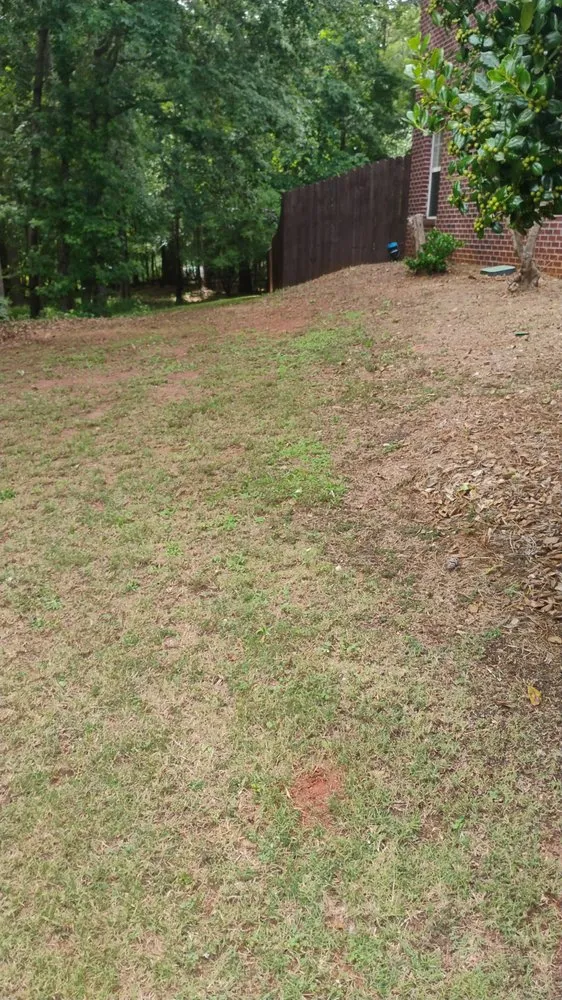 Top-rated garden landscaping for beautiful yards across Covington, GA - Paradise Landscaping