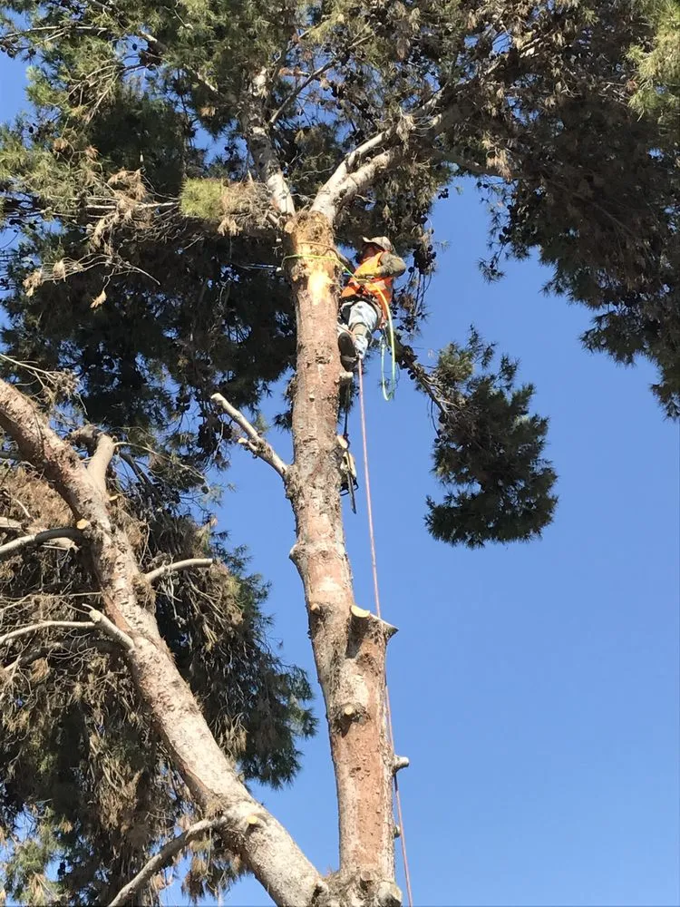 Custom lawn mowing service experts serving San Diego, CA - Paradise Landscaping Design & Construction