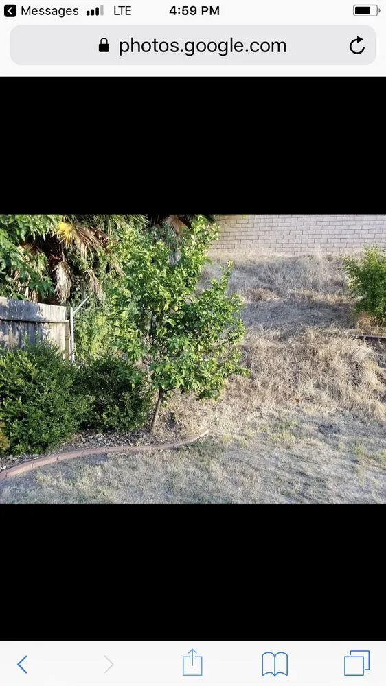 Professional landscaping services in San Diego, CA by Paradise Landscaping Design & Construction