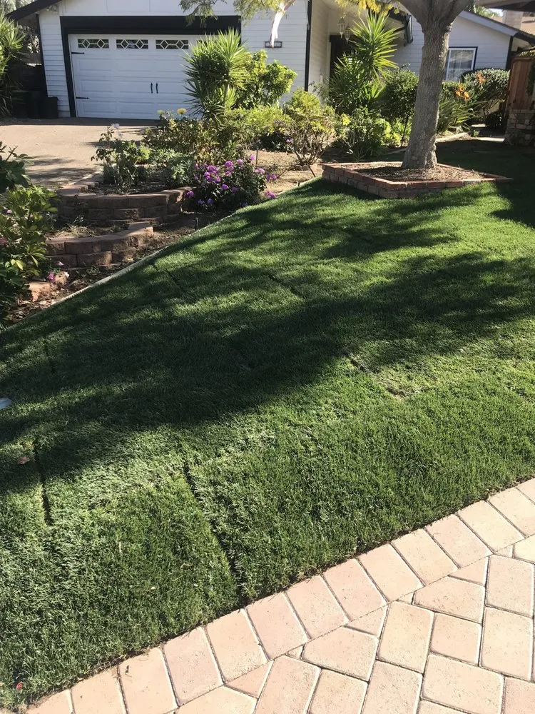 Professional landscape design in San Diego, CA by Paradise Landscaping Design & Construction