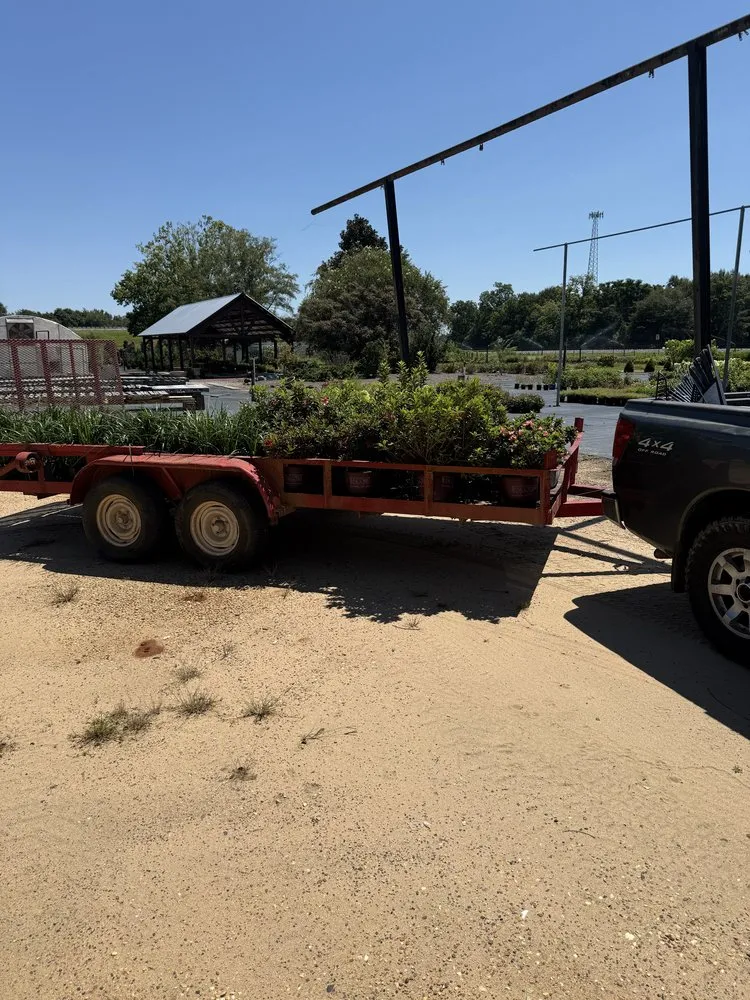 Professional landscape installation for residential properties across Dothan, AL - Paradise Landscaping