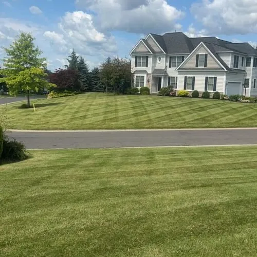 Professional landscape installation for year-round maintenance in Fredericksburg, VA by Paradise Landscaping