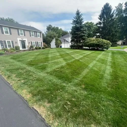Professional lawn mowing service experts serving Fredericksburg, VA - Paradise Landscaping
