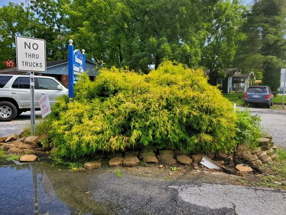 Custom lawn mowing service near you across Hendersonville, NC - Paradise Landscaping