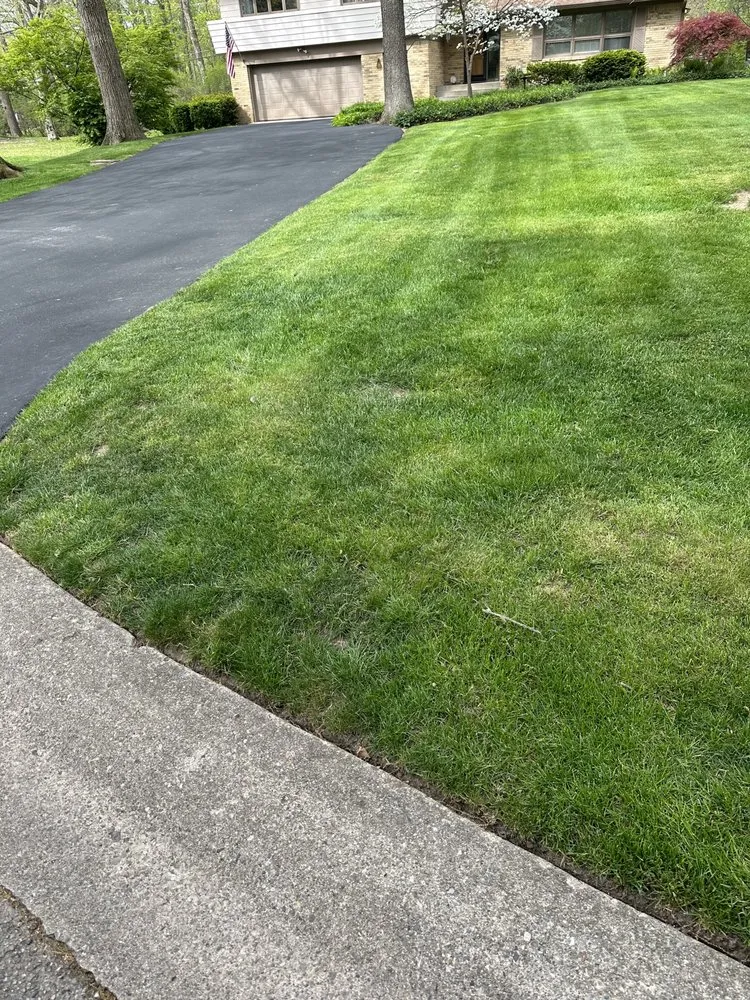 Custom yard maintenance for outdoor upgrades across Indianápolis, IN - Paradise Landscaping