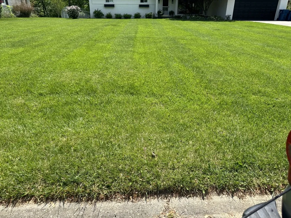 Reliable yard maintenance near you in Indianápolis, IN by Paradise Landscaping