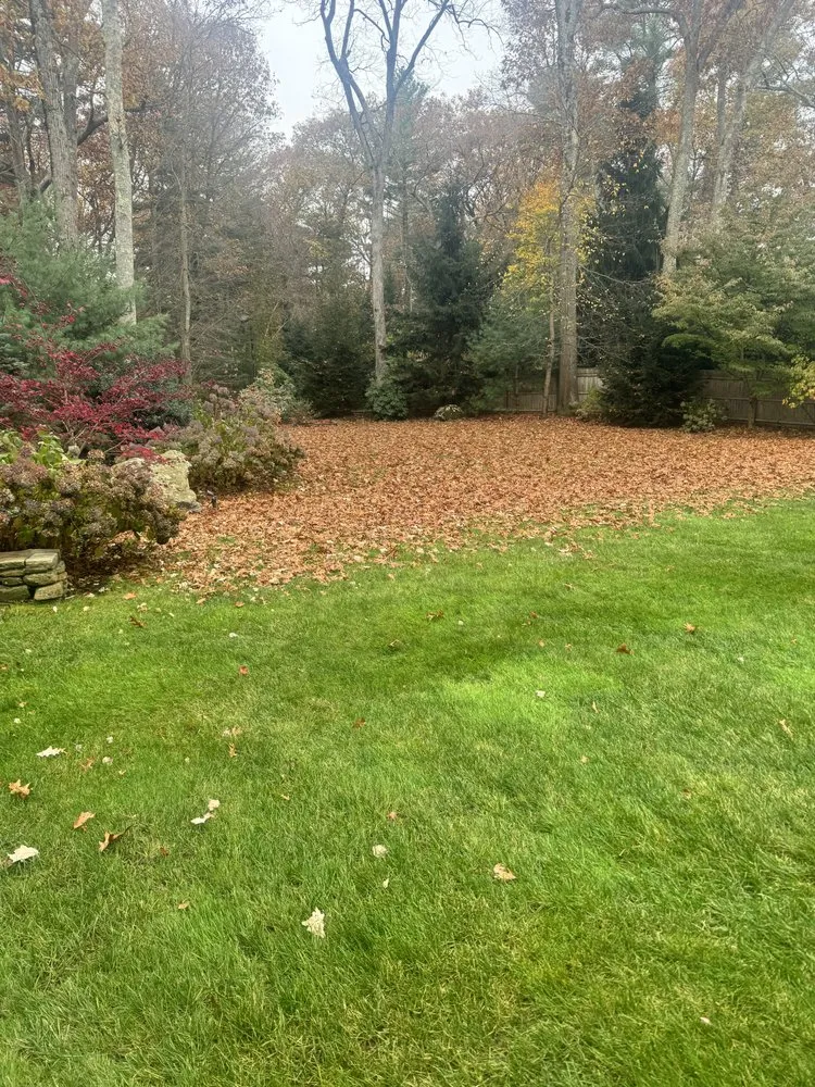 Professional landscape installation for homes in Milford, MA by Paradise Landscaping