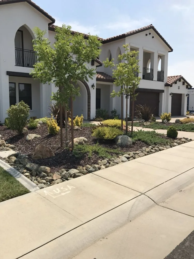 Trusted residential landscaping in Newcastle, CA - Paradise Landscaping