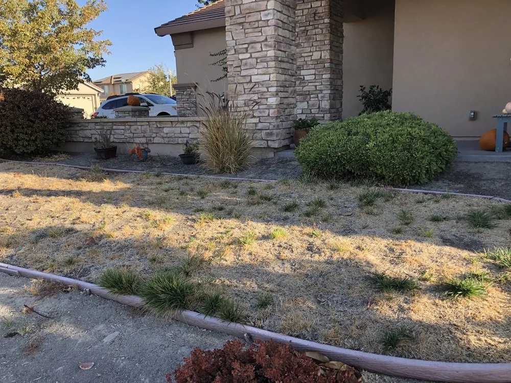 Reliable garden landscaping for outdoor upgrades in Newcastle, CA by Paradise Landscaping