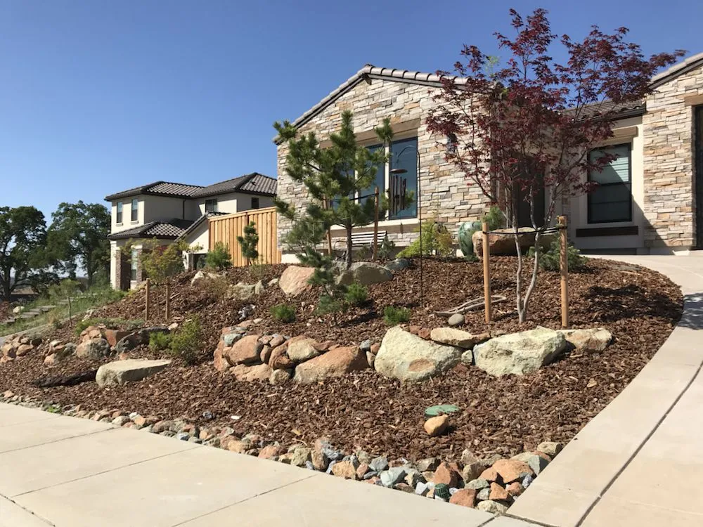 Custom yard maintenance for beautiful yards in Newcastle, CA by Paradise Landscaping