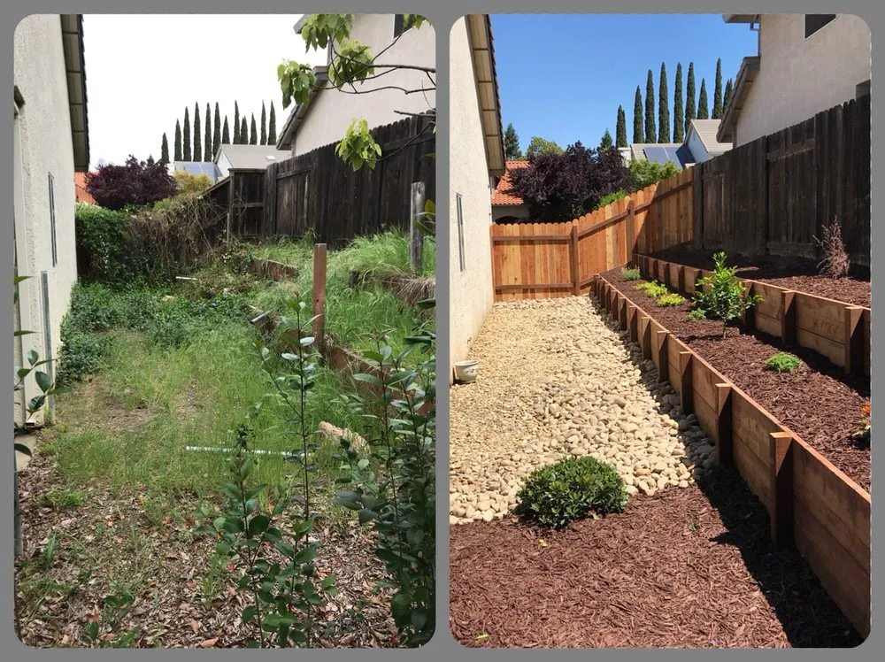 Affordable outdoor landscaping for year-round maintenance in Newcastle, CA by Paradise Landscaping