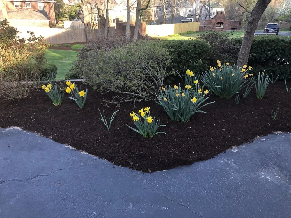 Trusted residential landscaping for homes across Perryville, MO - Paradise Landscaping