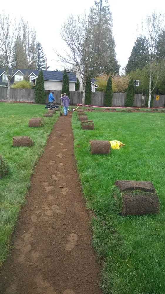 Expert yard cleanup service in Chehalis, WA by Paradise Landscaping Services