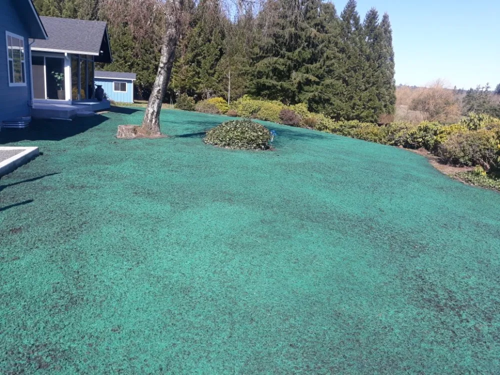 Professional lawn care service for outdoor upgrades in Chehalis, WA by Paradise Landscaping Services