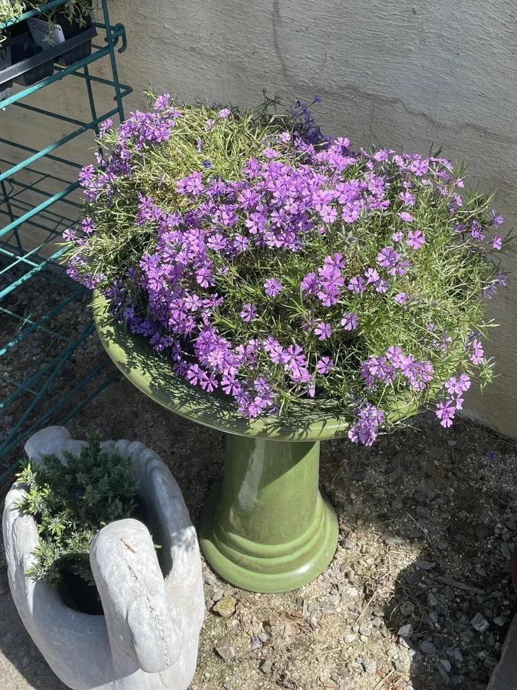 Top-rated yard maintenance experts serving Shelby, NC - Paradise Landscaping