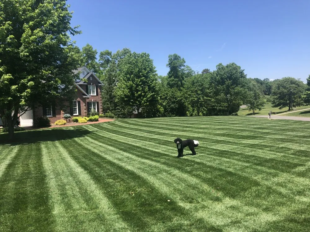 Trusted garden landscaping in Shelby, NC by Paradise Landscaping