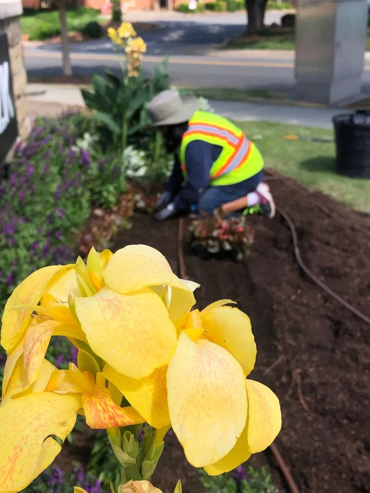 Top-rated garden landscaping experts serving Shelby, NC - Paradise Landscaping