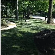 Custom yard cleanup service in Wilmington, DE - Paradise Landscaping
