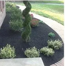 Professional lawn care service experts serving Wilmington, DE - Paradise Landscaping