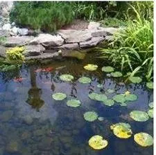 Local landscaping services for beautiful yards across Wilmington, DE - Paradise Landscaping