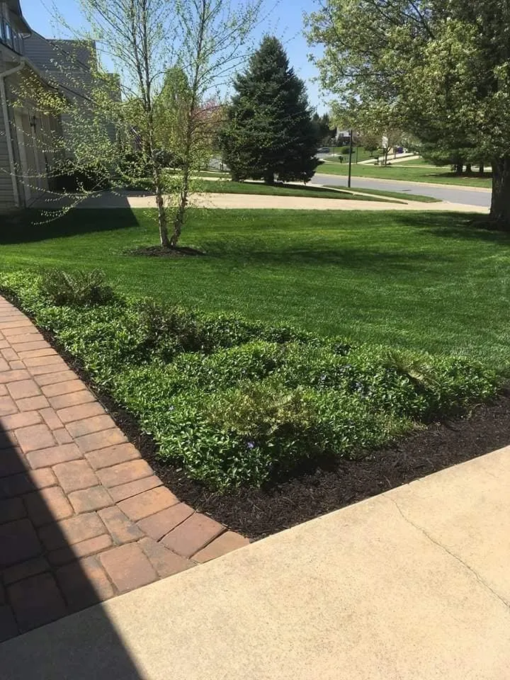 Trusted garden landscaping experts serving Gadsden, AL - Paradise Lawn & Landscaping Services