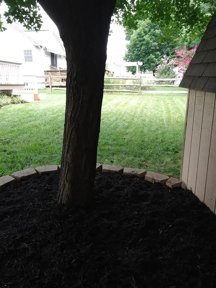 Expert landscaping services for year-round maintenance across Gadsden, AL - Paradise Lawn & Landscaping Services