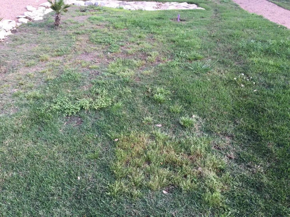 Top-rated outdoor landscaping with custom design across Garden Ridge, TX - Paradise Lawn & Maintenance