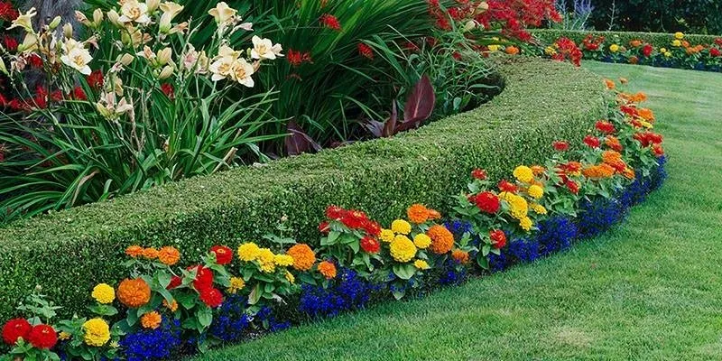 Professional lawn care service in Garden Ridge, TX by Paradise Lawn & Maintenance