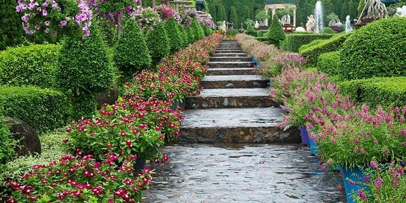 Local lawn care service in Garden Ridge, TX - Paradise Lawn & Maintenance