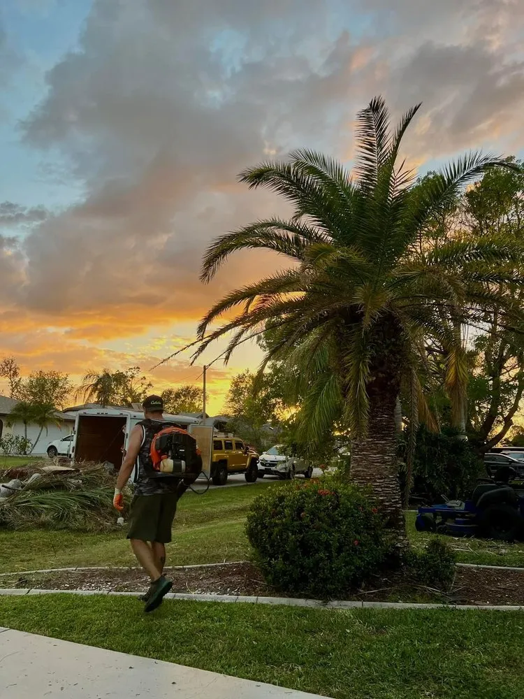 Professional landscape design in Port Charlotte, FL by Paradise Lawn & Property Maintenance