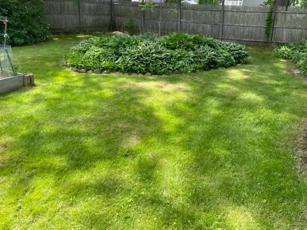 Top-rated garden landscaping for homes in Haverhill, MA by Paradise Lawn Care