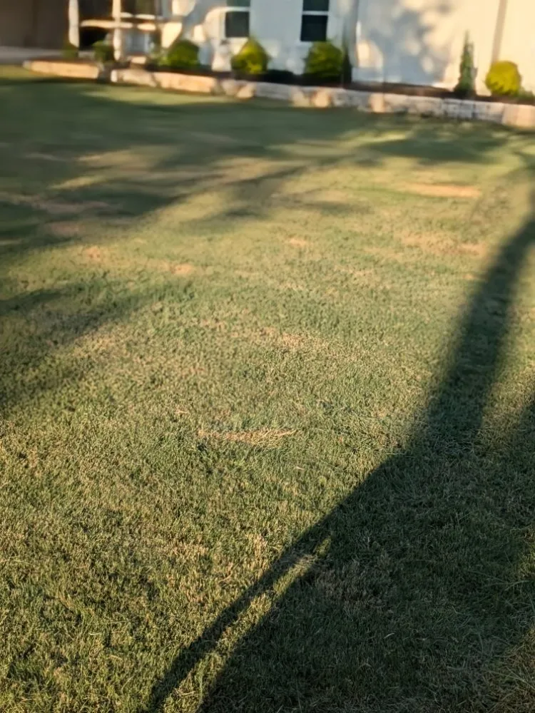 Affordable landscape installation in Killeen, TX - Paradise Lawn Care