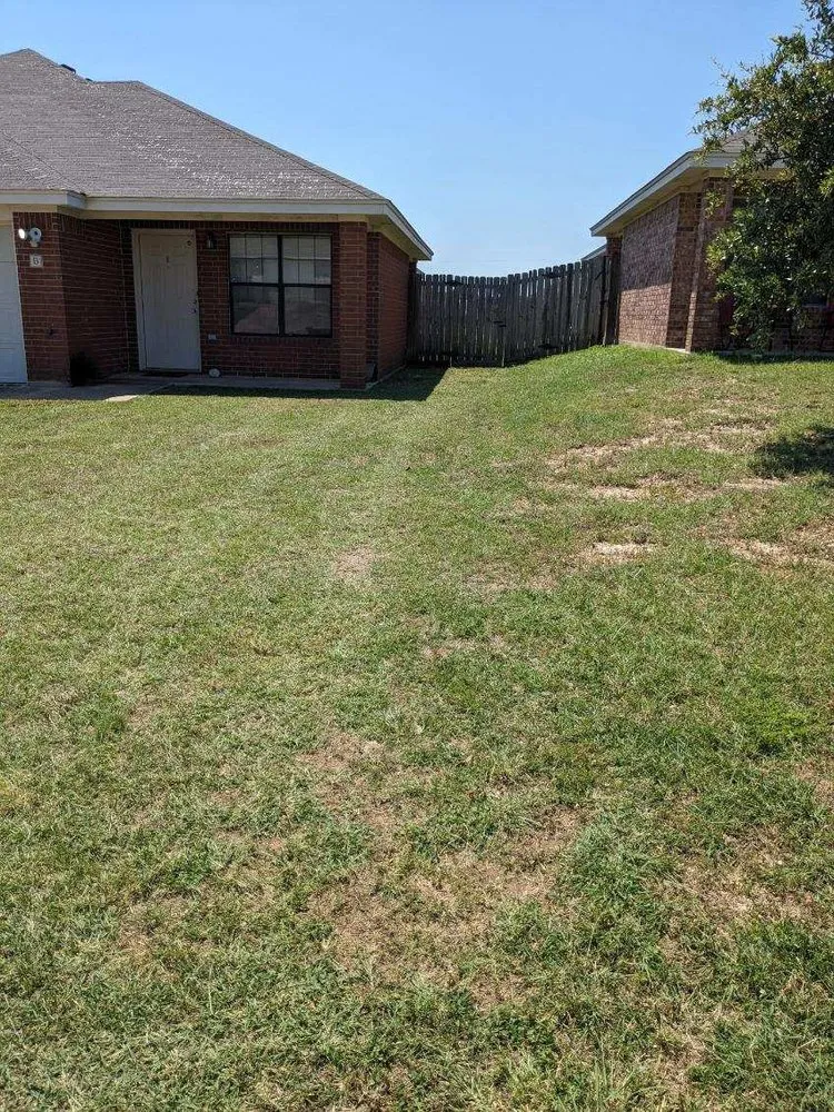 Local residential landscaping for beautiful yards in Killeen, TX by Paradise Lawn Care