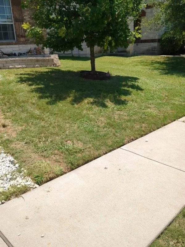 Trusted yard maintenance with custom design in Killeen, TX by Paradise Lawn Care