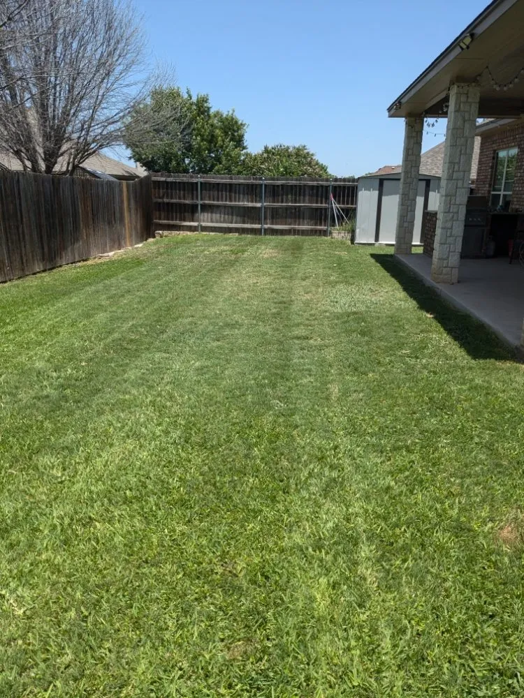 Expert landscaping services for residential properties across Killeen, TX - Paradise Lawn Care