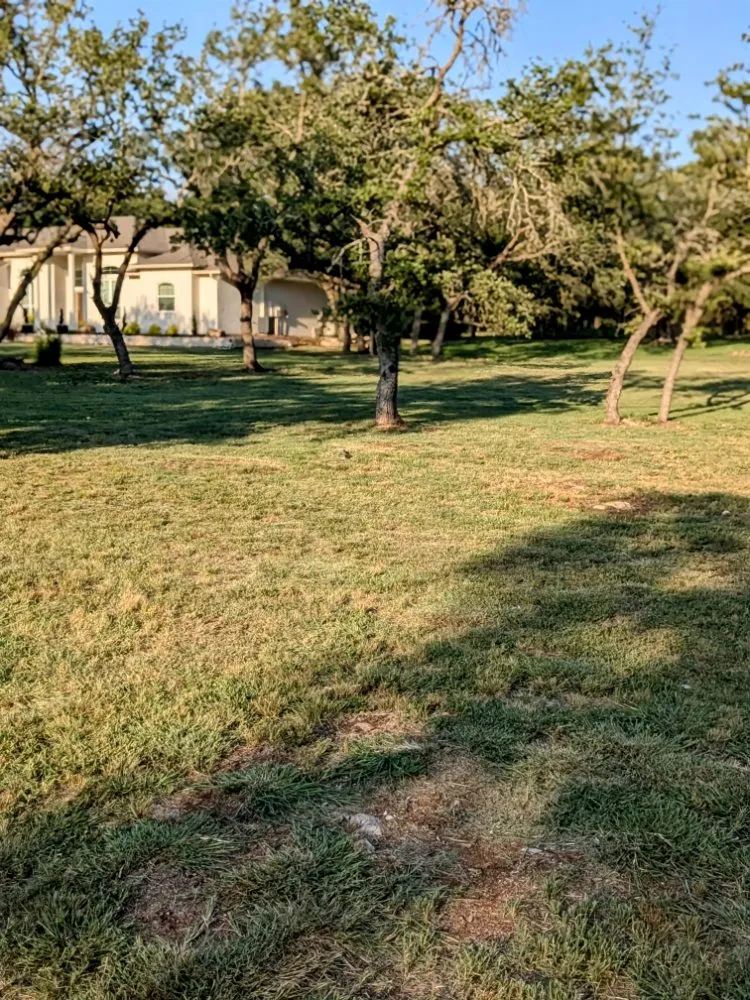 Top-rated lawn care service in Killeen, TX by Paradise Lawn Care