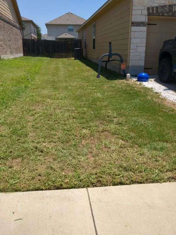 Trusted lawn care service in Killeen, TX - Paradise Lawn Care